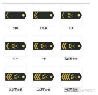 抖音视频:新澳门王中王资料-中国最高军衔是什么级别