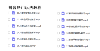抖音视频:2024澳门精准正版资料-工口是什么意思