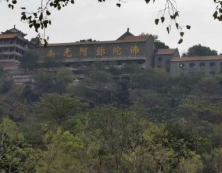 搜狐:新澳彩资料免费资料大全客家娘-顺峰山公园怎么去