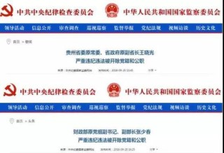 抖音视频:新澳好彩免费资料查询-国防部原部长魏凤和被开除党籍