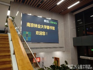 百度平台:王中王一肖一特一中-南京林业大学怎么样啊