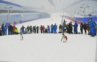 微博:2024香港正版资料大全免费-石家庄地铁票怎么买