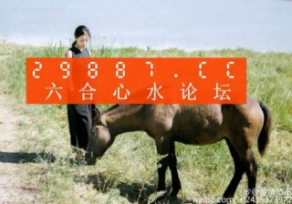 微博订阅:494949澳门今晚开什么-长命的动物是什么生肖