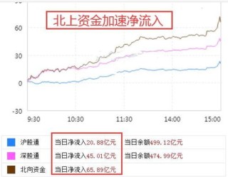 知乎：香港正版内部资料大公开-熊市和牛市是什么意思