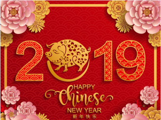 腾讯：新年澳资料大全正版2024-猪猪女孩什么意思