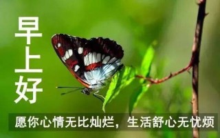 百家号:2024澳门资料大全免费图片-吃什么补肺养肺