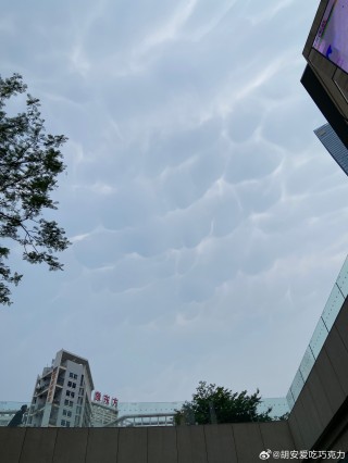 搜狐:新澳门4949正版资料大全-安史之乱怎么平定的
