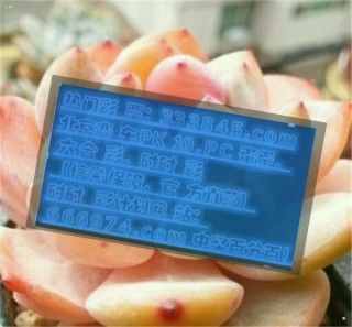 小红书:管家婆一码中一肖2024-积劳成疾的疾是什么意思