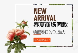 小红书:新澳资料大全正版2024-山楂有什么功效