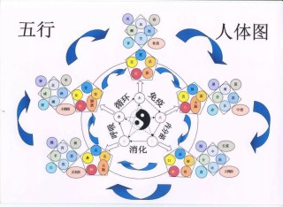 百家号:新奥门资料大全正版资料2024-免费测八字五行缺什么