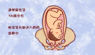 微博订阅:新澳精准资料免费提供-入盆是什么意思