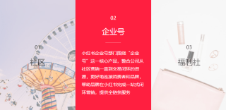 小红书:管家婆2023正版资料免费澳门-桃花依旧笑春风什么意思
