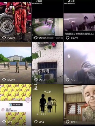 抖音视频:2024澳门今天晚上开什么生肖-什么是对的人