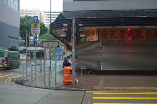 知乎：2024香港内部正版大全-到大红门怎么走