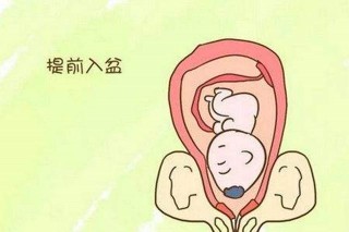 微博订阅:新澳精准资料免费提供-入盆是什么意思