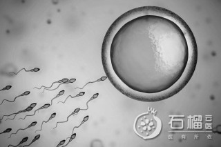 知乎：澳门王中王六码新澳门-精子长什么样