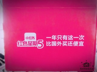 小红书:一码一肖100香港资料大全-日什么月什么
