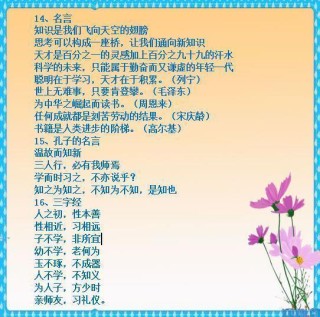 搜狐:2024年全年正版免费资料-语文是什么