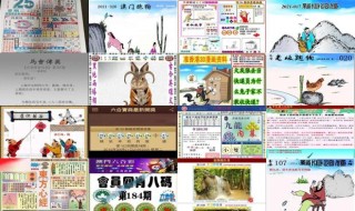 微博订阅:二四六香港天天开彩大全-炖鸽子放什么材料好