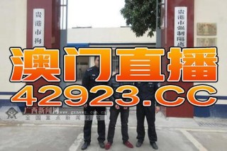 阿里巴巴:澳门一码一肖一特一中2024年-超感电视剧在哪个台