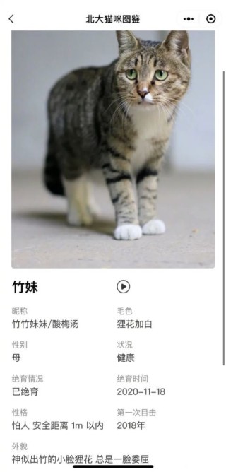 百家号:新澳门4949正版资料大全-猫怎么洗澡