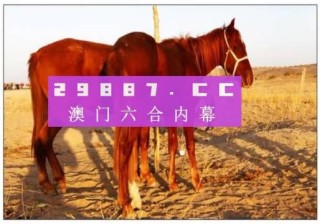 网易:澳门六开奖结果2024开奖记录查询-nps是什么意思