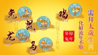 搜狐:2024澳门今天晚上开什么生肖-妙字五行属什么