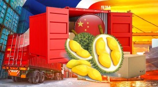 搜狐订阅：新澳2024年精准一肖一码-为什么榴莲这么贵