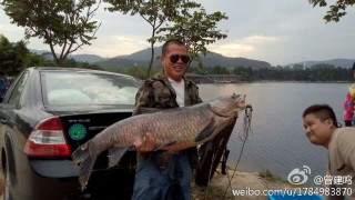 抖音视频:24年新澳彩资料免费长期公开-梅州暴雨有村民捞起数百斤大鱼