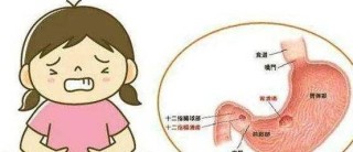 网易:澳门正版资料大全有哪些-胃不舒服吃什么食物好