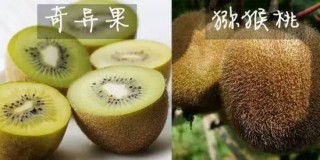 网易:澳门正版资料大全资料生肖卡-韩后和珀莱雅哪个好