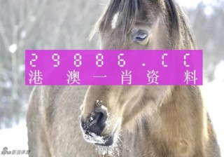 搜狐订阅：澳门一肖一码100%精准王中王-李维斯属于什么档次