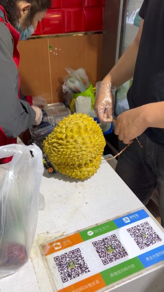 搜狐订阅：香港一肖一码公开免费资料-榴莲是什么季节的水果