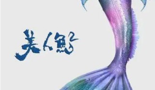 网易:2024一肖一码100精准大全-怎么折美人鱼