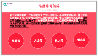 小红书:2024年新澳版资料正版图库-bit怎么读