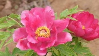 搜狗订阅:王中王一肖一特一中-威远县属于哪个市