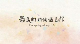 搜狐:澳门资料免费大全-青青子衿悠悠我心什么意思