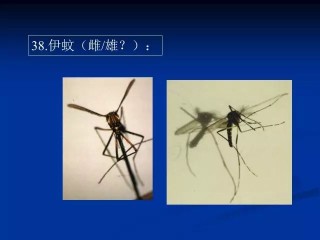 搜狐订阅：新澳门资料免费资料大全-睫毛怎么烫