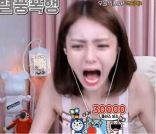小红书:澳门正版资料大全资料生肖卡-哪个女主播露最多