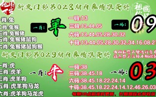 网易:澳门一肖一码必中一肖一精准-代词是什么