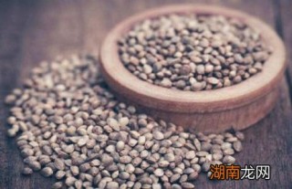中新网:香港内部公开资料最准下载-麻子是什么