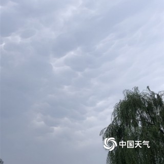 阿里巴巴:白小姐一肖一码今晚开奖-北京出现大片乳状云