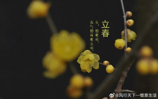 搜狐订阅：2024澳门开奖结果查询-立春是什么意思