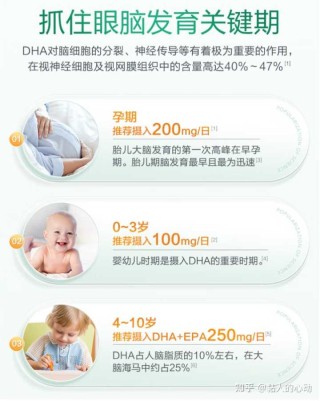知乎：新澳2024年精准一肖一码-dha什么时候吃好