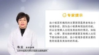 搜狐:白小姐一肖一码100正确-血小板压积偏高是什么意思