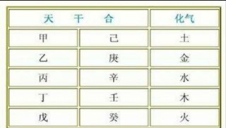 火山视频:二四六香港管家婆期期准资料大全-甲乙丙丁后面是什么