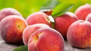 百度平台:正版资料免费资料大全-怀孕能吃什么水果
