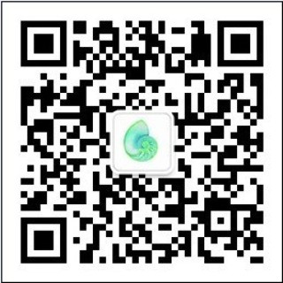 中新网:澳门正版资料大全资料生肖卡-什么是微信账号