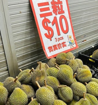 百度平台:2024澳门今晚开奖号码-高工是什么职称