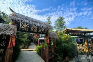 中新网:2024新澳精准资料免费大全-杭州灵隐寺发大水? 景区回应